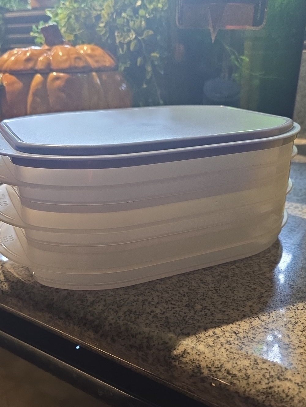Vintage Tupperware